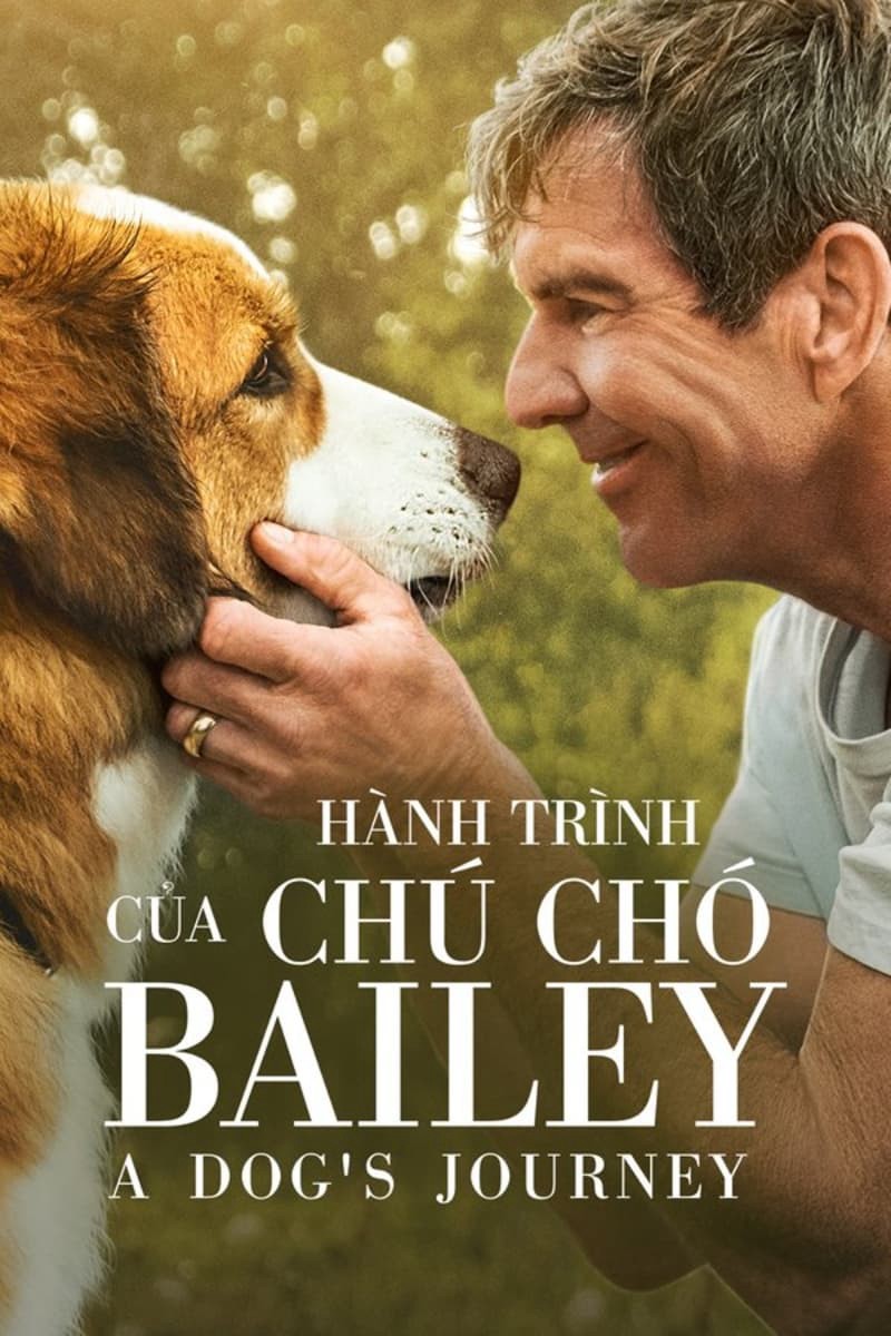 Hành Trình Của Chú Chó Bailey - Hành Trình Của Chú Chó Bailey (2019)