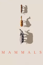 Mammals (2024) - Mammals (2024) (2024)