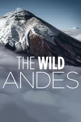 The Wild Andes